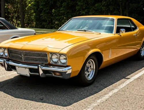 How to Maintain a Head-Turning Car Shine All Year Round